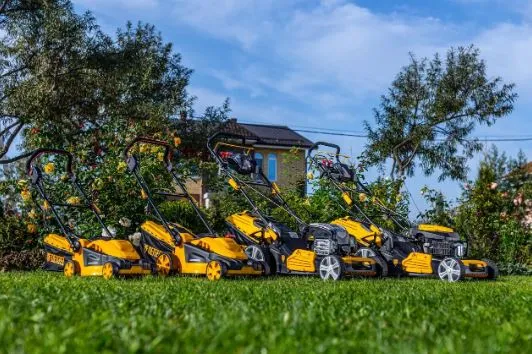 Газонокосилка бензиновая, электрическая или аккумуляторная. Как выбрать газонокосилку для дачи?