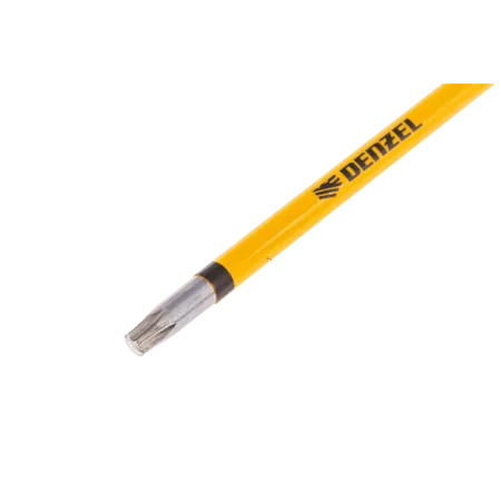 Набор бит DENZEL T20x100 мм, 5 шт.