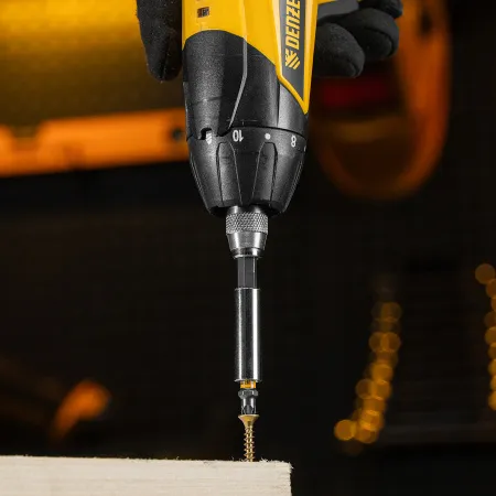 Бита DENZEL PZ2х25, сталь S2, шестигранный профиль, 10 шт. Е 6,3