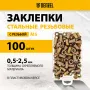 Заклепки резьбовые DENZEL стальные, оцинкованные, М5, пластиковый кейс, 100 шт.