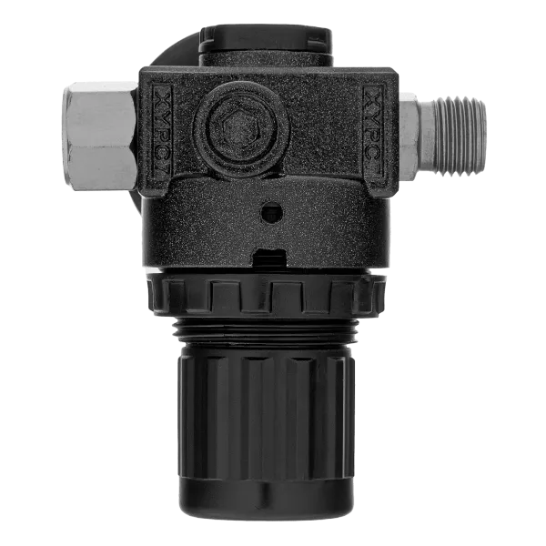 Регулятор давления с манометром DENZEL R1500, 12 бар, 1/4"