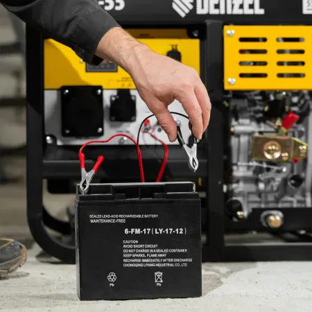 Генератор дизельный DENZEL DES-55, 5,5 кВт, 230 В, 11 л, ручной стартер