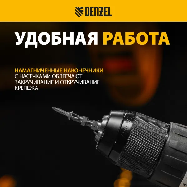 Бита DENZEL двухсторонняя, PH2-PZ2 х 45 мм, сталь S2, 10 шт.