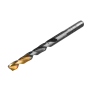 Сверло по металлу DENZEL 6 мм, HSS-Tin, Golden Tip, 10 шт.