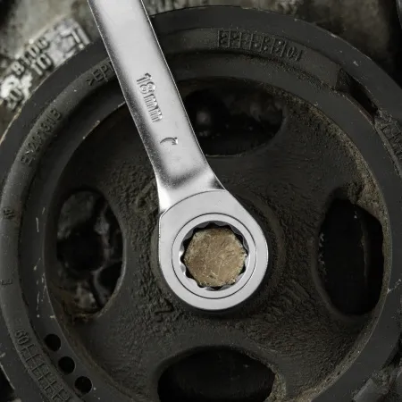 Набор ключей комбинированных трещоточных DENZEL 6-19 мм, 12 шт., CrV, матовый хром