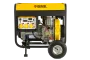 Дизельный генератор DENZEL DD6300Е, 5 кВт, 220 В/50 Гц, 15 л, электростартер
