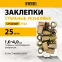 Заклепки резьбовые DENZEL стальные, оцинкованные, М12, пластиковый кейс, 25 шт. 