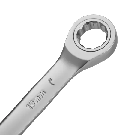 Набор ключей комбинированных трещоточных DENZEL 6-19 мм, 12 шт., CrV, матовый хром