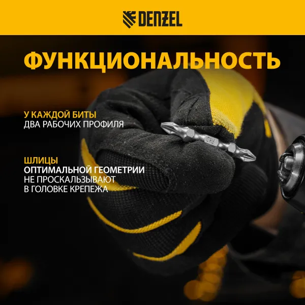 Бита DENZEL двухсторонняя, PH2-PZ2 х 45 мм, сталь S2, 10 шт.