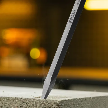 Пика DENZEL, 14 х 250 мм, 40Cr, SDS PLUS