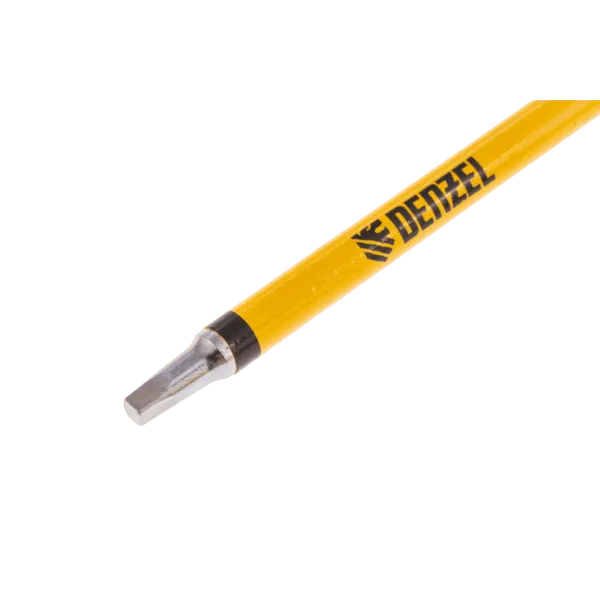 Набор бит DENZEL S2x100 мм, 5 шт.