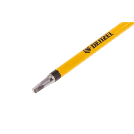 Набор бит DENZEL S1x100 мм, 5 шт.