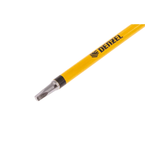 Набор бит DENZEL S1x100 мм, 5 шт.