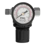Регулятор давления с манометром DENZEL R1500, 12 бар, 1/4"