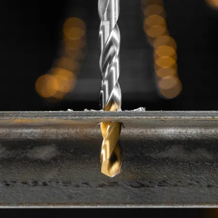 Набор сверл по металлу DENZEL, 1-10 мм, Р6М5-TiN, Golden Tip, 19 шт