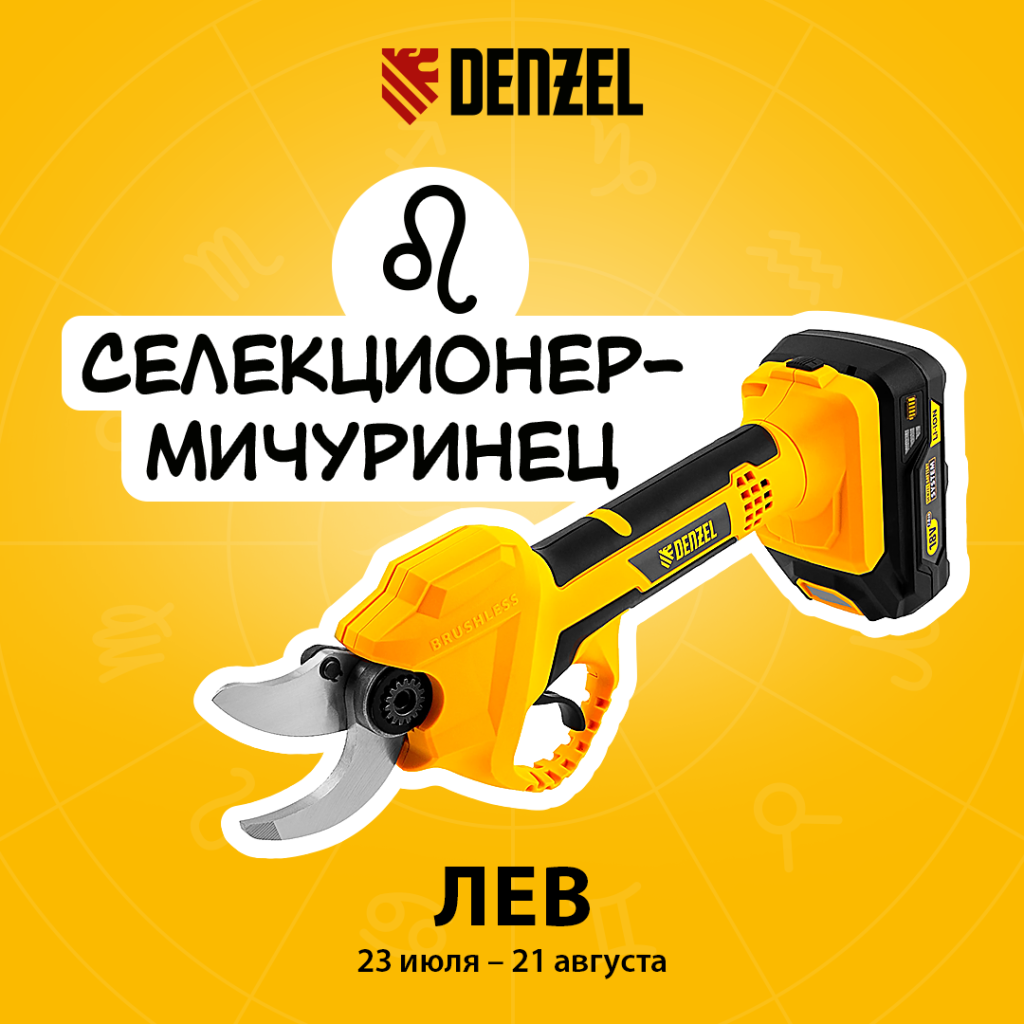 Гороскоп лев