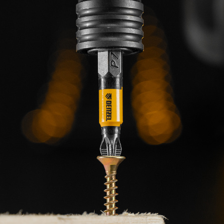 Бита DENZEL PZ2х50, сталь S2, 10 шт., круглый профиль, отрывная упаковка, , Е 6,3