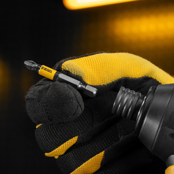 Бита DENZEL PZ2х50, сталь S2, 10 шт., круглый профиль, отрывная упаковка, , Е 6,3