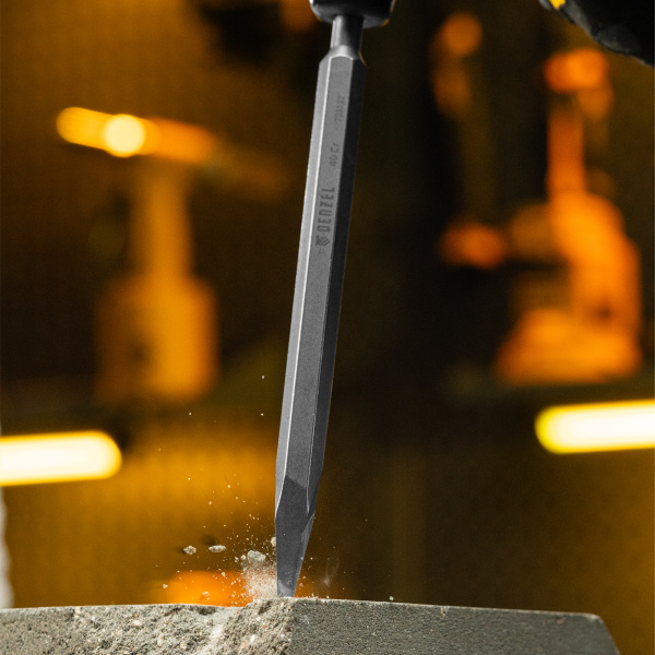 Пика DENZEL, 14 х 250 мм, 40Cr, SDS PLUS