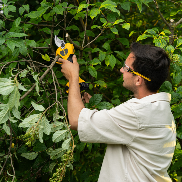 Секатор аккумуляторный, бесщет. DENZEL, CP-40BL, Li-Ion, 20 В, лезвия SK5