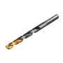 Сверло по металлу DENZEL 6 мм, HSS-Tin, Golden Tip, 10 шт. Сверло по металлу DENZEL 6 мм, HSS-Tin, Golden Tip, 10 шт.