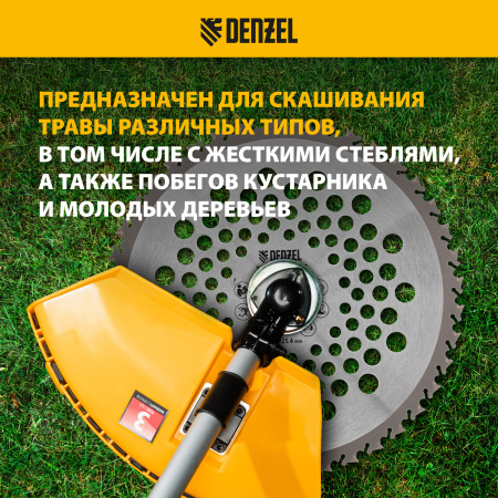 Диск для триммера DENZEL 255 х 25,4 40 зубов, Anti-Kick