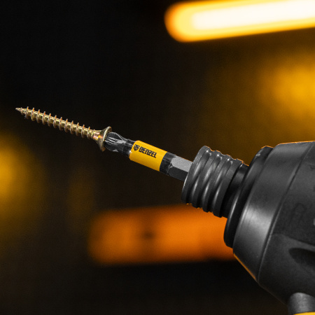 Бита DENZEL PZ2х50, сталь S2, 10 шт., круглый профиль, отрывная упаковка, , Е 6,3