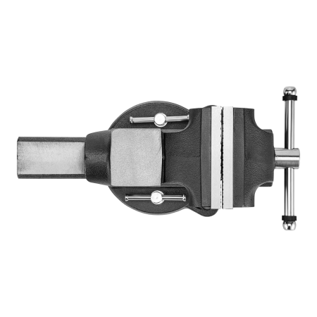 Тиски слесарные DENZEL BVH-125, 125 мм, поворотные, стальная направляющая, с наковальней