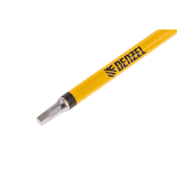 Набор бит DENZEL S2x100 мм, 5 шт.