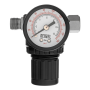 Регулятор давления с манометром DENZEL R1500, 12 бар, 1/4"