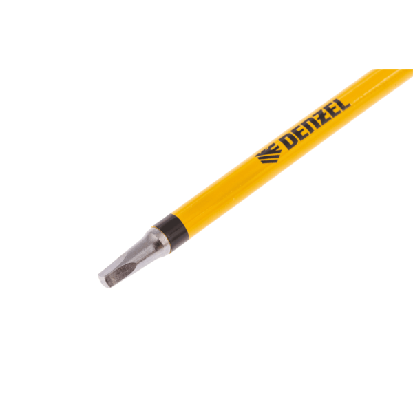 Набор бит DENZEL S1x100 мм, 5 шт.