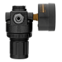 Регулятор давления с манометром DENZEL R1500, 12 бар, 1/4"