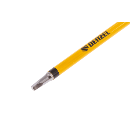 Набор бит DENZEL S1x100 мм, 5 шт.